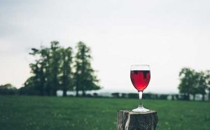 Beneficios del vino tinto para los bronquios