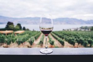 propiedades saludables del vino tinto